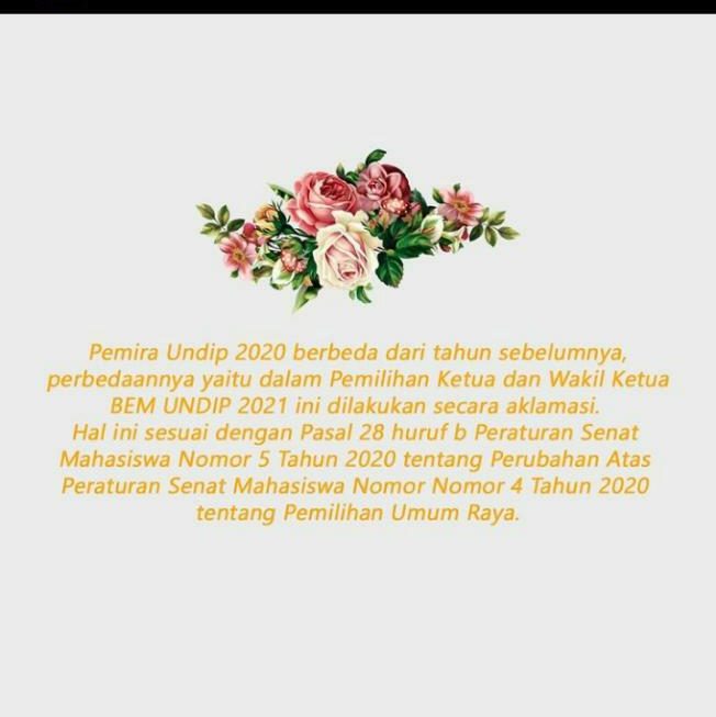 Bukan Tumpang Tindih, SM Undip Akui Salah Unggah File Persema Nomor 5 Tahun 2020